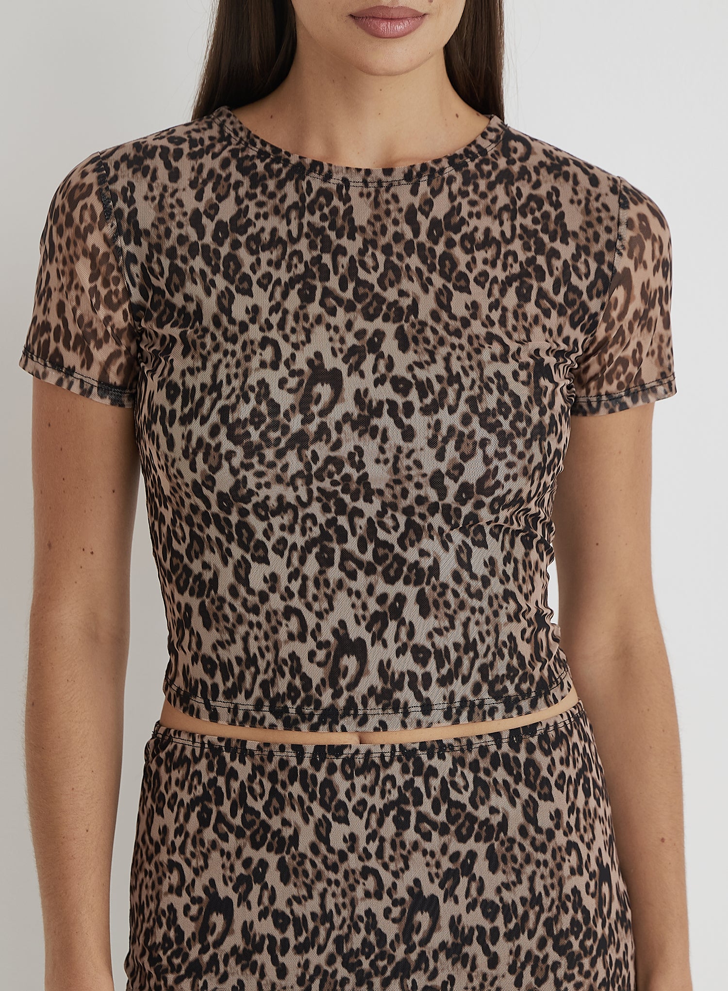 Leopard Print Mesh Short Sleeve Top- Cher